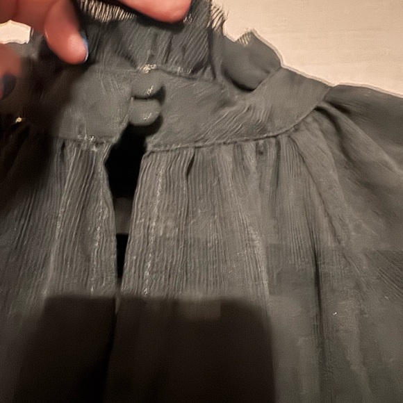 Blu Pepper Sheer Black Blouse - Picture 4 of 6